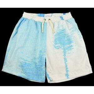 BLUE SKY INN Mens Aqua Palms Swim Trunks SMALL Built in Mesh Brief NWT